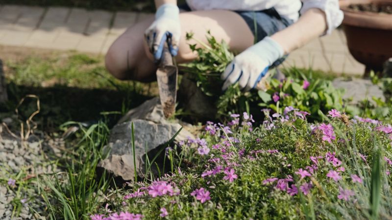 Flower Bed Cleaning