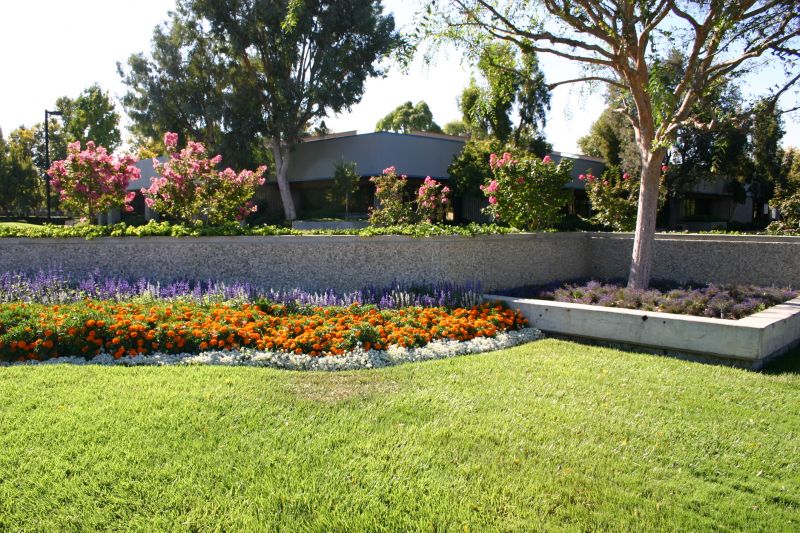 Flower Bed Cleaning