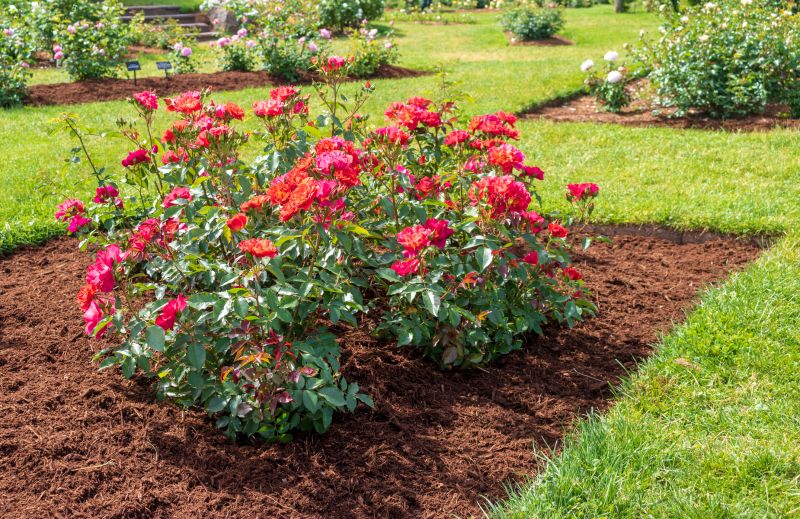 Clean Flower Bed with Fresh Mulch
